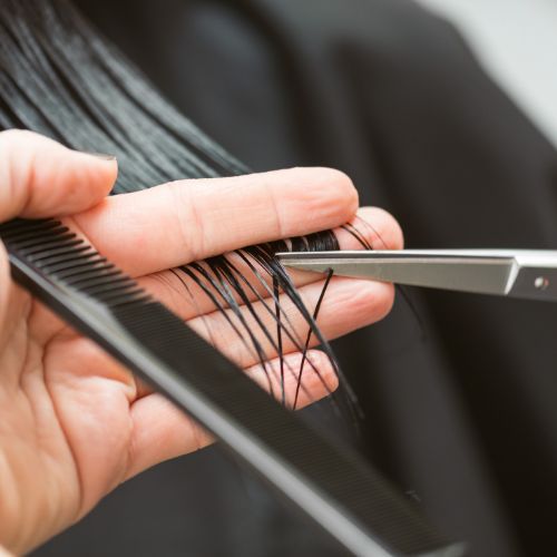 Mobile Hairdressing Services for Seniors Calgary